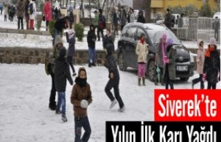  Siverek'e Yılın İlk Karı Düştü