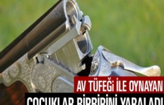 Av Tüfeği İle Oynayan Çocuklar Birbirini Yaraladı