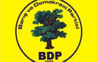 BDP'nin Siverek Mitingi İptal Edildi