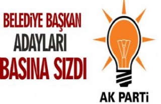 AK Parti Şanlıurfa İlçe Adayları Basına Sızdı