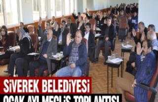 Siverek Belediyesi Ocak Ayı Meclis Toplantısı 