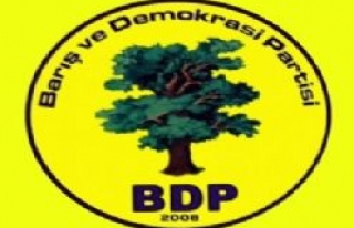 Siverek BDP İlçe Teşkilatı Kitlesel Basın Açıklaması...
