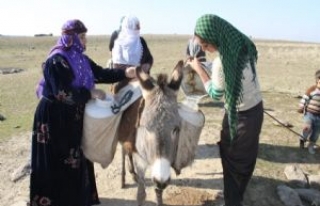 Siverek'li Köylü Kadınların Su Çilesi