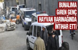 Bunalıma Giren Genç Hayvan Barınağında İntihar...