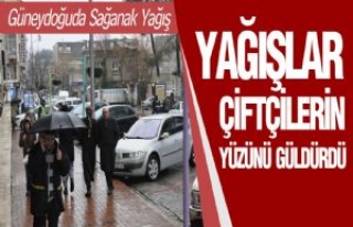 Siverek'te Yağışlar Çiftçileri Sevindirdi