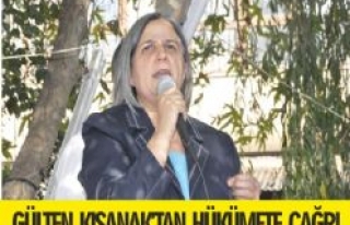 BDP Eş Genel Başkanı Kışanak Siverek'te