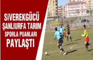 Siverekgücü Tarım Sporla Puanları Paylaştı