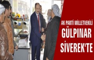  Ak Parti Milletvekili Gülpınar Siverek'te 