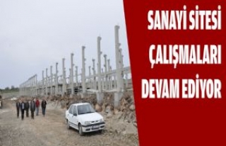 Sanayi Sitesi Çalışmaları Devam Ediyor