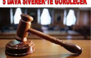 5 Dava Siverek'te Görülecek