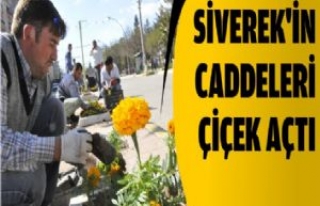 Siverek'in Caddeleri Çiçek Açtı 