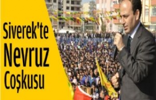 Siverek'te Nevruz Coşkusu 