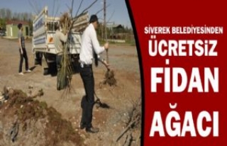 Siverek Belediyesinden Ücretsiz Fidan Ağacı