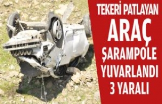 Tekeri Patlayan Araç Şarampole Yuvarlandı