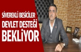 Siverekli Besiciler Devlet Desteği Bekliyor 