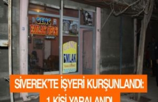 Siverek'te İşyeri Kurşunlandı: 1 Yaralı 