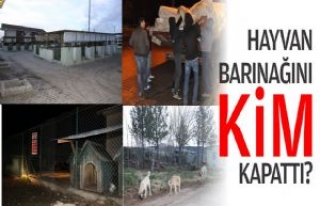 Hayvan Barınağını Kim Kapattı?