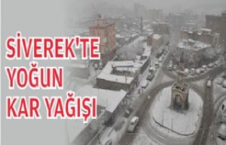 Siverek'te Yoğun Kar Yağışı