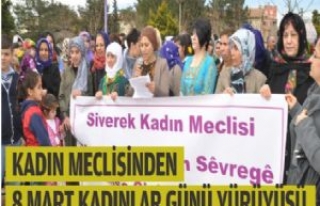 Kadın Meclisinden 8 Mart Kadınlar Günü Yürüyüşü