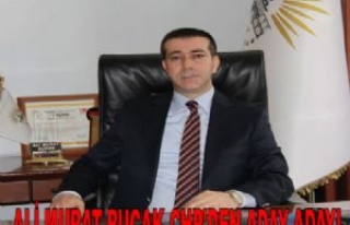 Ali Murat Bucak Chp'den Aday Adayı Oldu