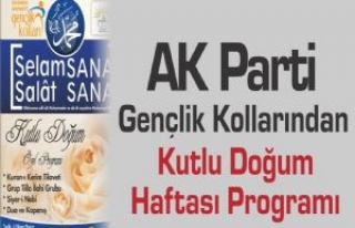 AK Parti Gençlik Kollarından Kutlu Doğum Haftası...