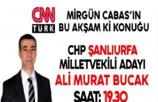 CHP Şanlıurfa Milletvekili Adayı Bucak CNN Türk'e...