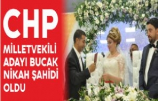 CHP MİLLETVEKİLİ ADAYI BUCAK NİKAH ŞAHİDİ OLDU