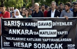 Hdp İlçe Başkanlığından Basın Açıklaması