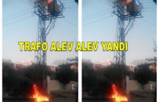 Elektrik Tarfosu Alev Aldı