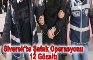 Siverek'te Işid Operasyonu 12 Gözaltı