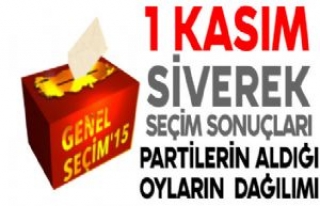 Siverek'te Resmi Seçim Sonuçları