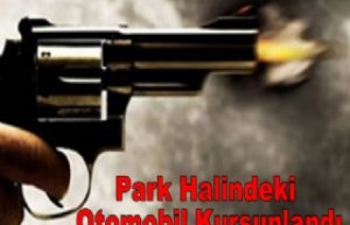 Park Halindeki Otomobil Kurşunlandı