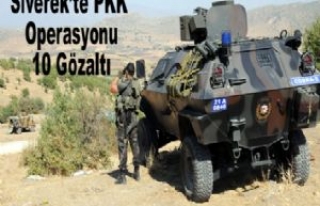 Siverek'te Pkk Operasyonu 10 Gözaltı