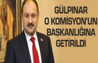 AB Komisyonunda Gülpınar Dönemi