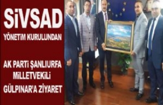 SİVSAD'tan Gülpınar'a Makamında Ziyaret...