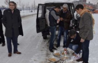 Siverek'te Sokak Hayvanları Unutulmadı