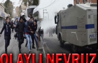 Siverek'te Nevruz Gerginliği, 15 Gözaltı