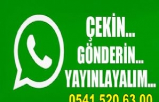 Çekin Gönderin Yayınlayalım