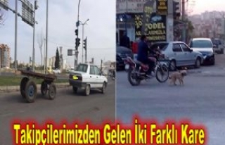 Takipçilerimizden Gelen İlginç Kareler