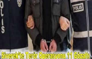 Siverek'te Terör Operasyonu 11 Gözaltı