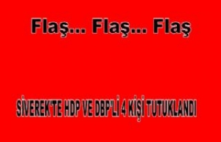 Siverek'te Gözaltına Alınan Dbp'li Ve Hdp'li...