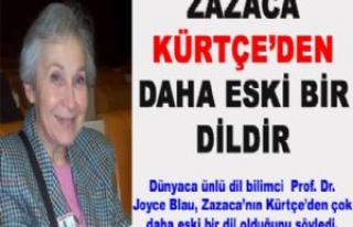 Zazaca Kürtçe'den çok daha eski bir dil