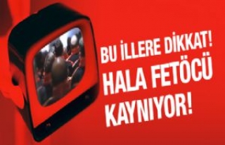 Milletvekili Şanlıurfa'yı da açıkladı...