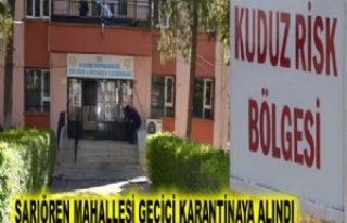 Kuduz şüphesi bulunan mahalle geçici karantinaya...