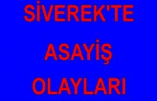 Siverek'te Asayiş