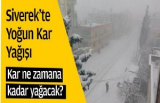 Siverek'te Yoğun Kar Yağışı [Foto Galeri]...