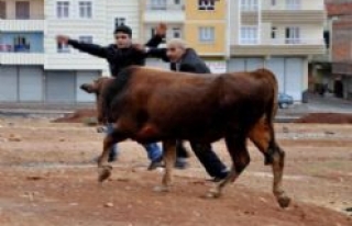 Bu Bayram Çocukların Bayramı