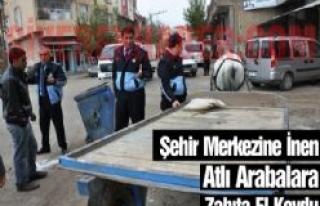 Şehir Merkezine İnen Atlı Arabalara Zabıta El...