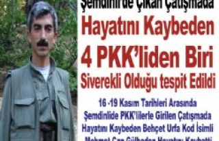 Şemdinli'de Hayatını Kaybeden PKK'lilerden...