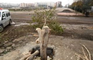 Siverek Belediyesi'nden Vatandaşa Uyarı